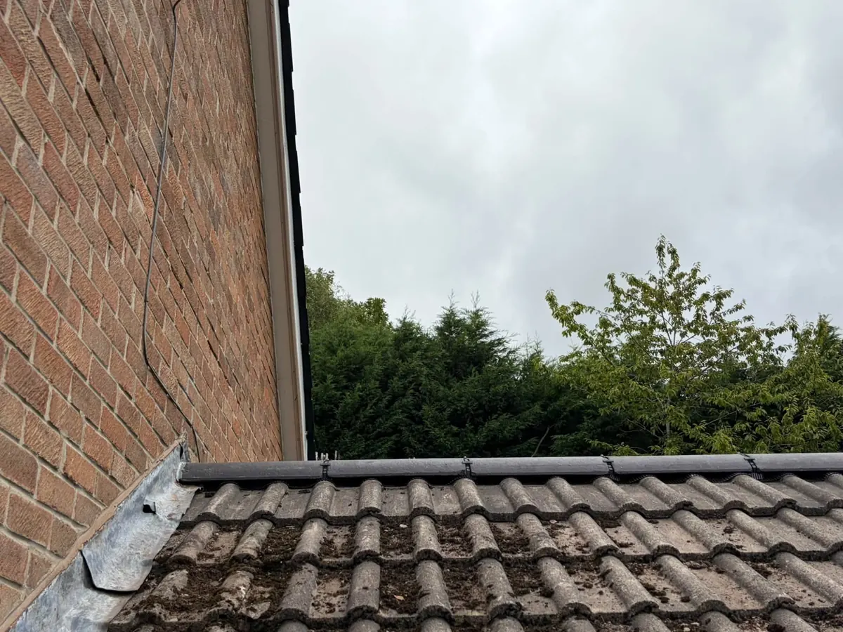 Ridge tiles on the adjoining extension roof